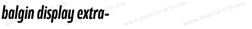balgin display extra字体转换
